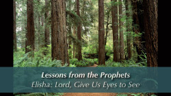 Lesson from the Prophets: Elisha: Lord, Give Us Eyes to See