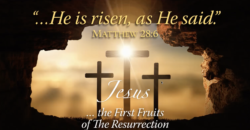 "HE is risen, as He said." Jesus, the First Fruits of the Resurrection