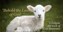 "Behold, the Lamb of God..." Celebrate the work of our Redeemer