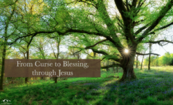 From Curse to Blessing, in Jesus