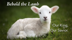 Behold the Lamb, Our King, Our Savior