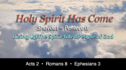 Holy Spirit Has Come: Rising Up The Spirit-Filled People of God