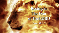 Resting in The Fear of The Lord