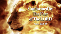 Conformed by The Fear of The Lord
