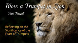 Blow A Trumpet in Zion—Reflecting on the Significance of the Feast of Trumpets